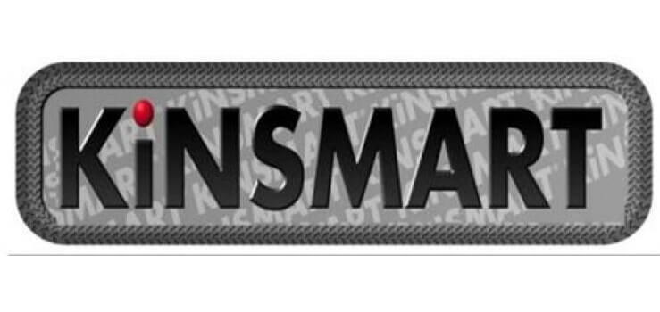 Kinsmart